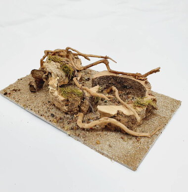 AntScape Biohobby 0523070501021