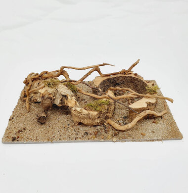 AntScape Biohobby 0523070501021