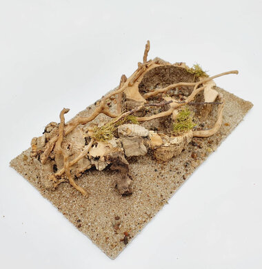 AntScape Biohobby 0523070501021