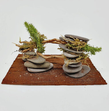 AntScape Biohobby 0723052701019