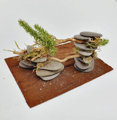 AntScape Biohobby 0723052701019