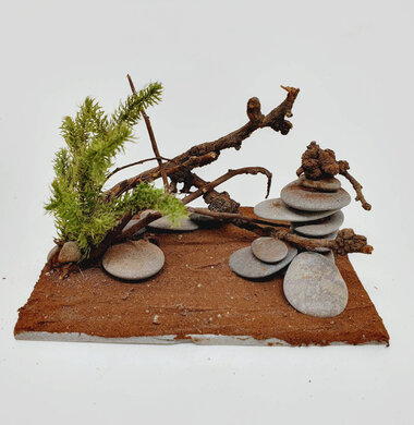 AntScape Biohobby 0723052701020