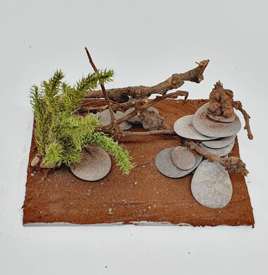 AntScape Biohobby 0723052701020