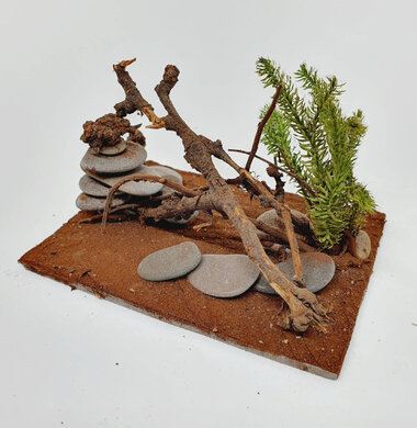 AntScape Biohobby 0723052701020