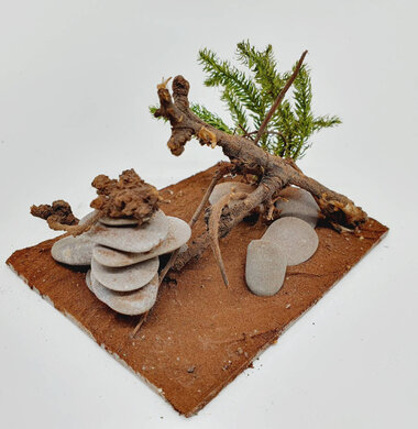 AntScape Biohobby 0723052701020