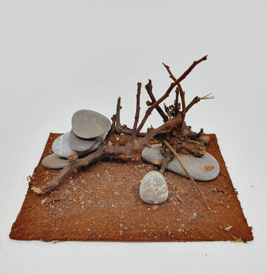 AntScape Biohobby 0723052703021