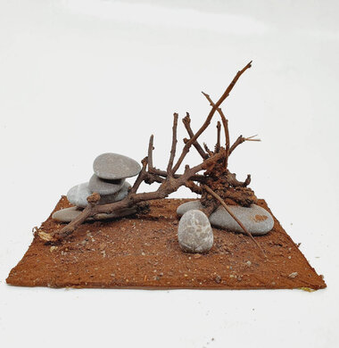 AntScape Biohobby 0723052703021