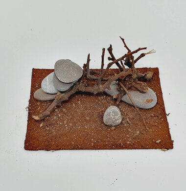 AntScape Biohobby 0723052703021