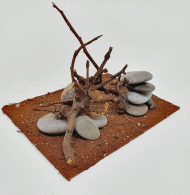 AntScape Biohobby 0723052703021