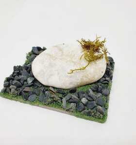 AntScape Biohobby 0123021505002