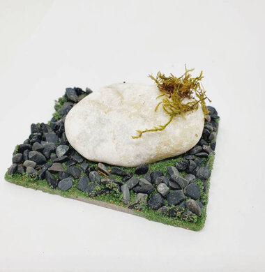 AntScape Biohobby 0123021505002