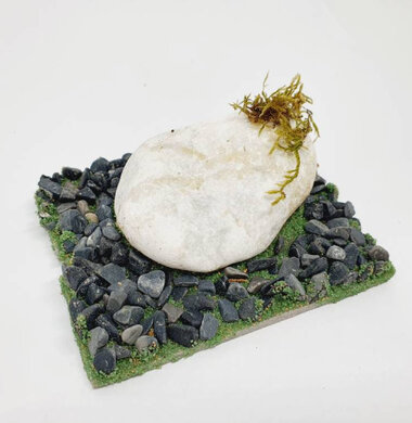 AntScape Biohobby 0123021505002