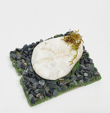 AntScape Biohobby 0123021505002