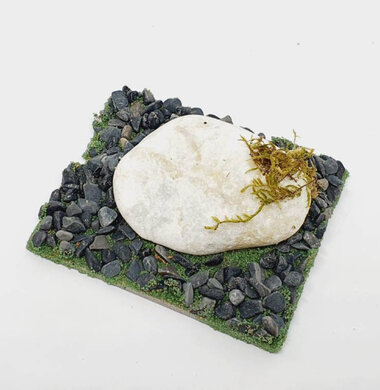 AntScape Biohobby 0123021505002