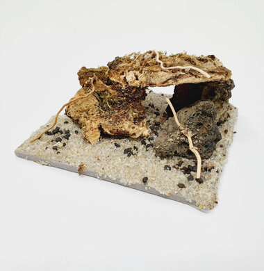 AntScape Biohobby 0123031901019