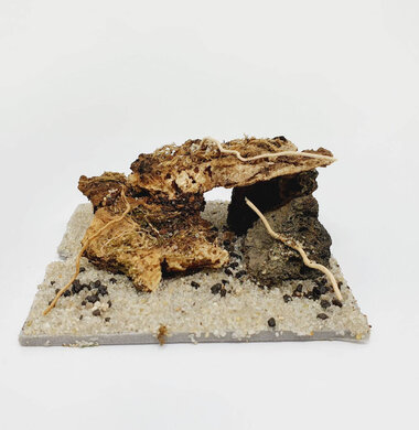 AntScape Biohobby 0123031901019