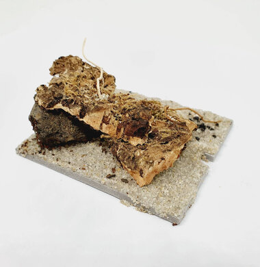 AntScape Biohobby 0123031901019