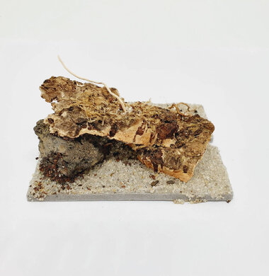 AntScape Biohobby 0123031901019