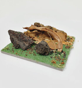 AntScape Biohobby 0123031901022