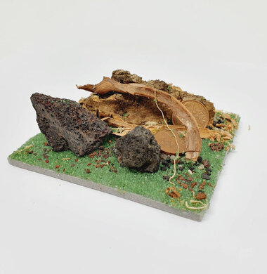 AntScape Biohobby 0123031901022