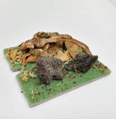 AntScape Biohobby 0123031901022