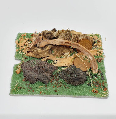 AntScape Biohobby 0123031901022