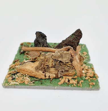 AntScape Biohobby 0123031901022