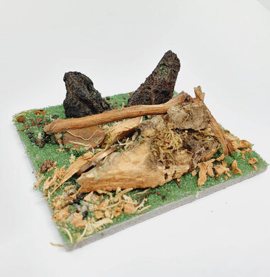 AntScape Biohobby 0123031901022