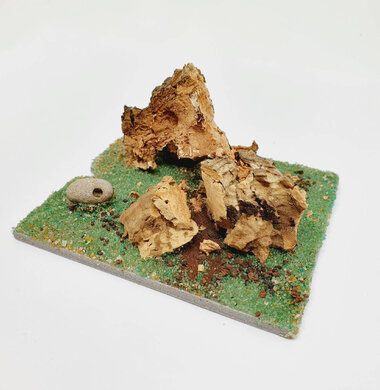 AntScape Biohobby 0123040101002