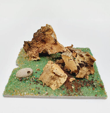 AntScape Biohobby 0123040101002