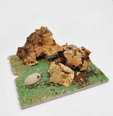 AntScape Biohobby 0123040101002