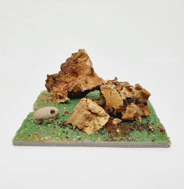 AntScape Biohobby 0123040101002