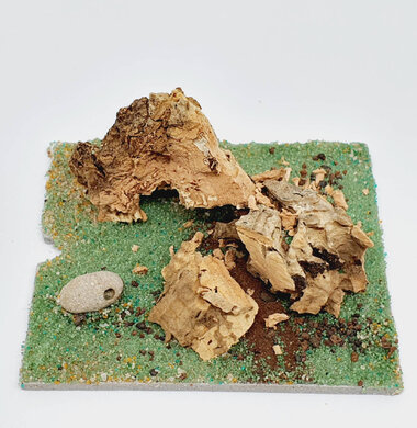 AntScape Biohobby 0123040101002