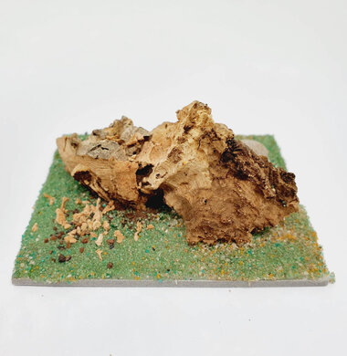 AntScape Biohobby 0123040101002