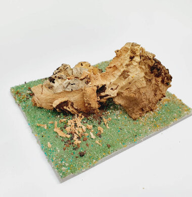 AntScape Biohobby 0123040101002