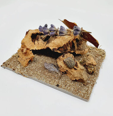 AntScape Biohobby 0123040101004