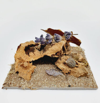 AntScape Biohobby 0123040101004