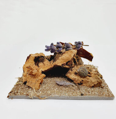 AntScape Biohobby 0123040101004