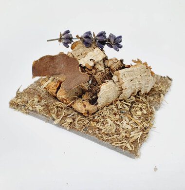AntScape Biohobby 0123040101004
