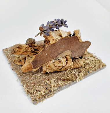 AntScape Biohobby 0123040101004