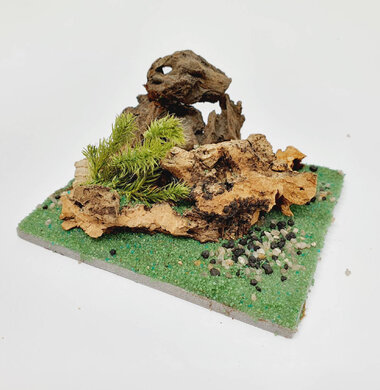 AntScape Biohobby 0123040101005