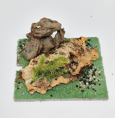 AntScape Biohobby 0123040101005