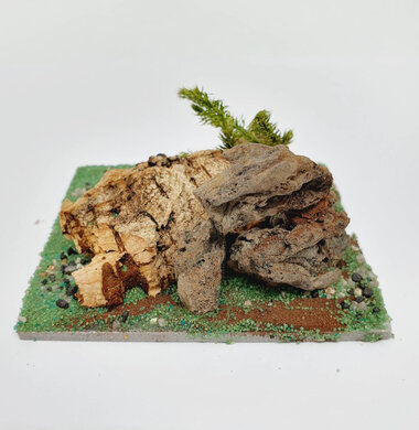 AntScape Biohobby 0123040101005