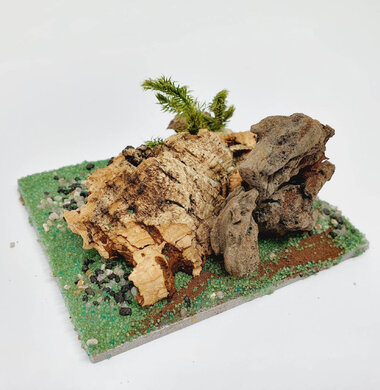 AntScape Biohobby 0123040101005