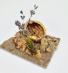 AntScape Biohobby 0123040101007