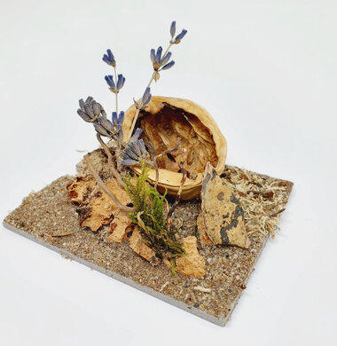 AntScape Biohobby 0123040101007