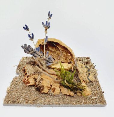 AntScape Biohobby 0123040101007