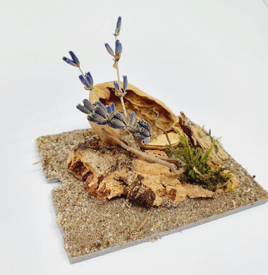 AntScape Biohobby 0123040101007