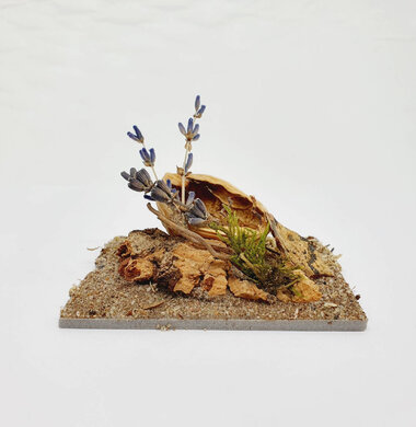 AntScape Biohobby 0123040101007