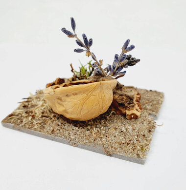 AntScape Biohobby 0123040101007
